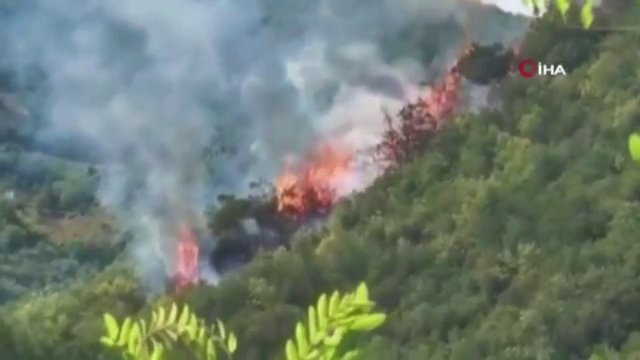 Sarıyer’de Korkutan Orman Yangını