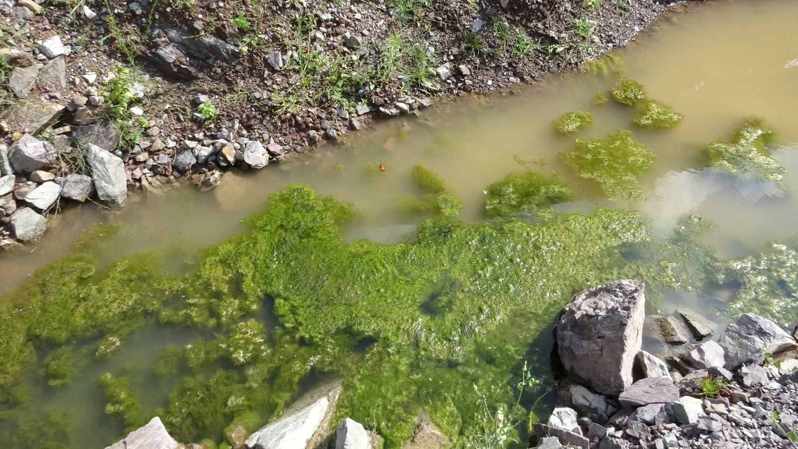 Göçbeyli Ve Ballıca’nın Kanalizasyon Atığı, Foseptik Yerine Ömerli Barajı’na Akıyor