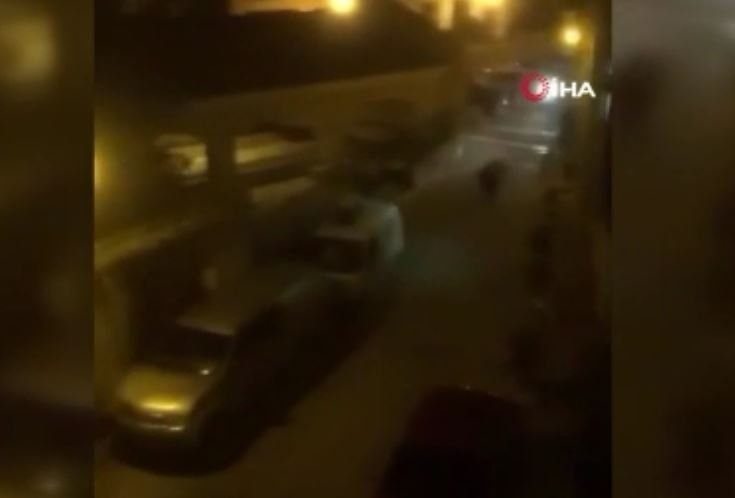 İspanya’da kaçan boğayı durdurmak için araçla çarparak öldürdüler