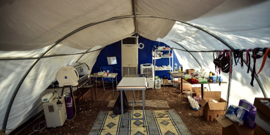 Marmaris’te Orman Yangınlarında  Zarar Gören Hayvanların Tedavisi Tamamlandı