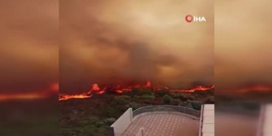 Orman yangınlarında hayatını kaybedenlerin sayısı 43’ye yükseldi!