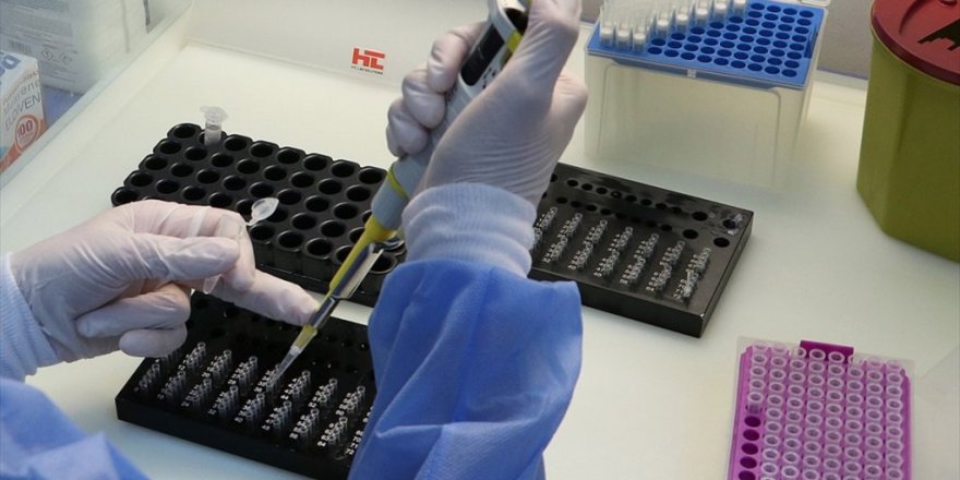 Koronavirüs Varyantları Güncel Pcr Testlerinden Kaçamıyor