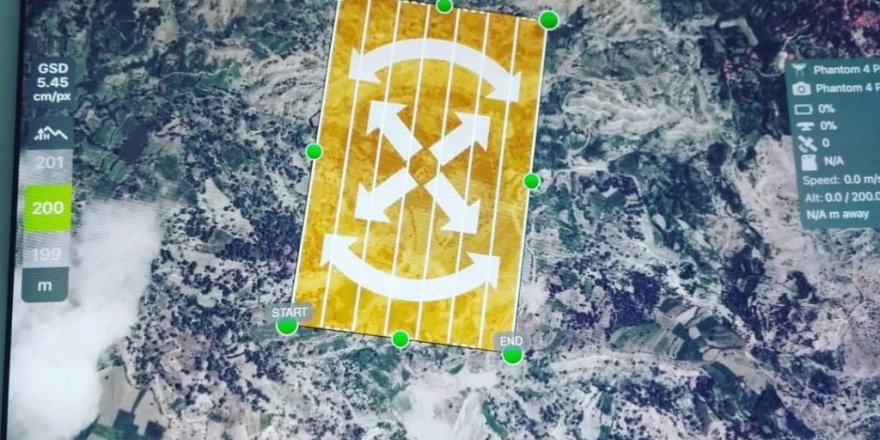 Yanan ormanlar için ağaçlandırma projesi başladı