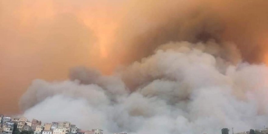 Cezayir’deki orman yangınlarında ölenlerin sayısı 65’e yükseldi