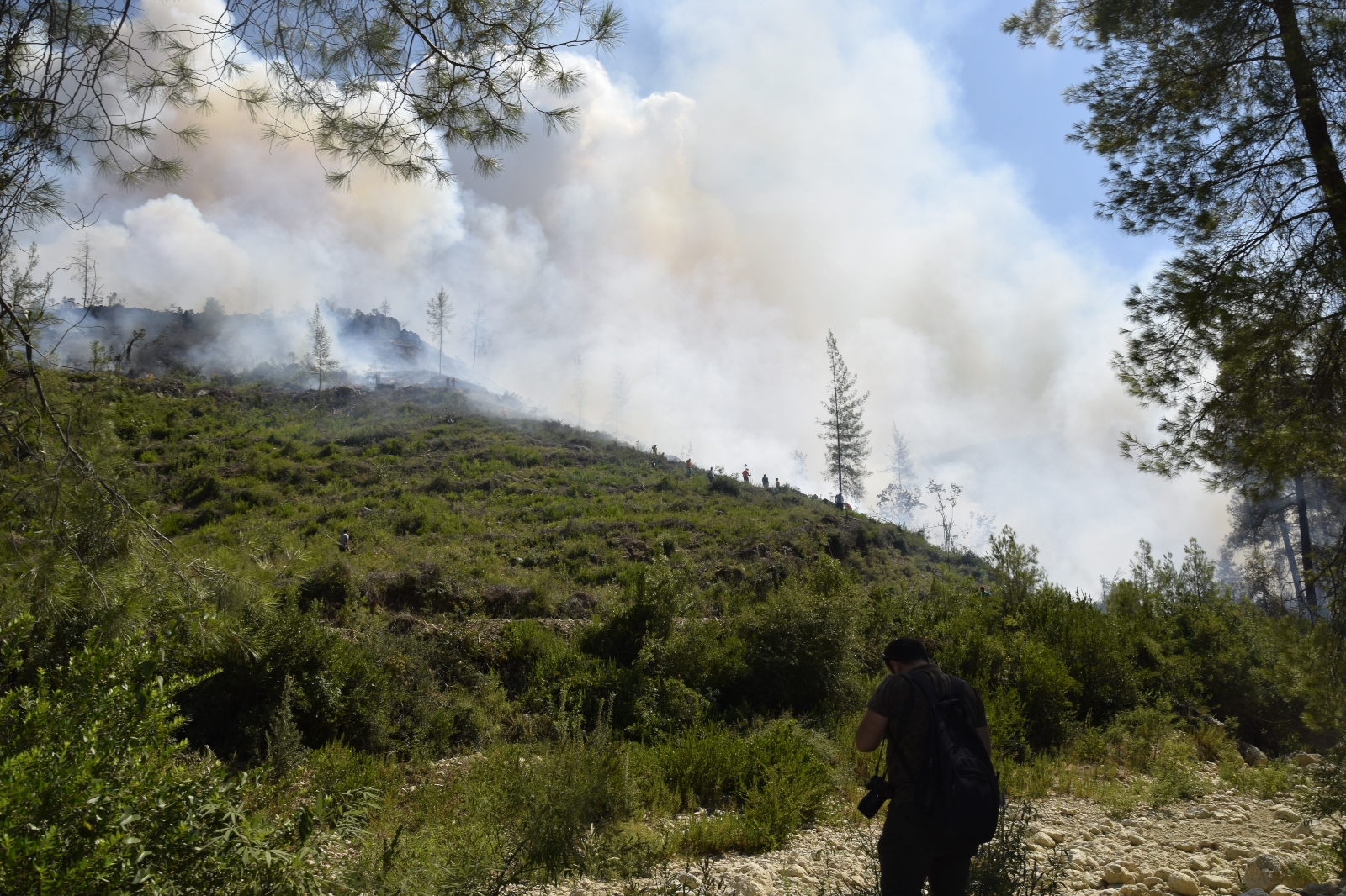 Milletvekili Uğur: “Yangın sönmezse gece görüşlü helikopter kullanılacak"