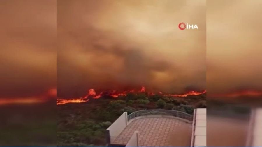 Cezayir’de Orman Yangınlarıyla İlgili 22 Kişi Gözaltında