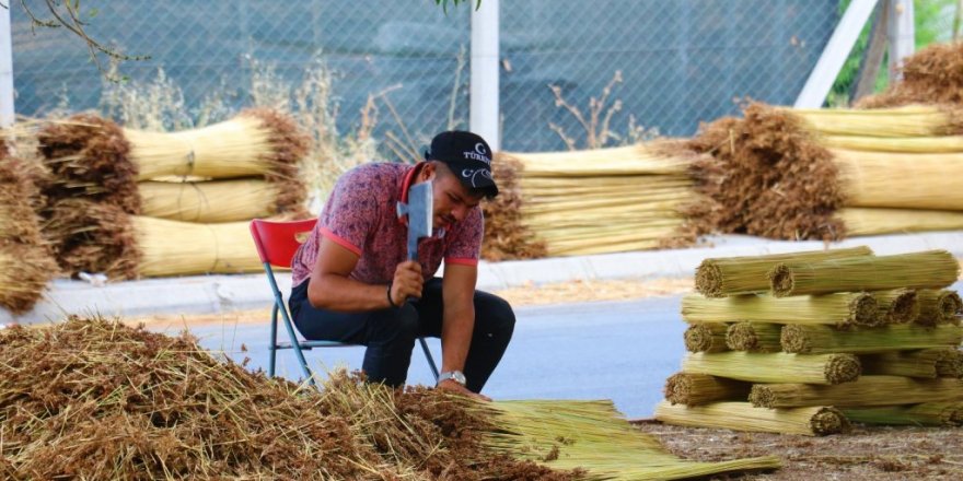 Bataklıktan toplayıp tek tek birleştirip satıyorlar