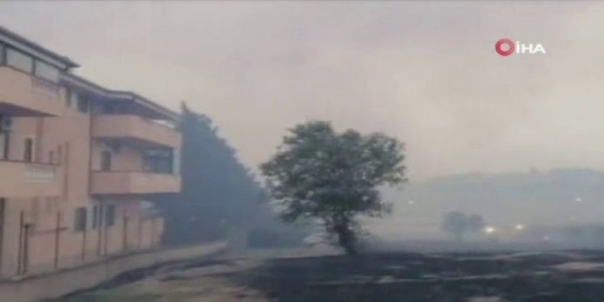 İtalya’da tabiat parkında yangın