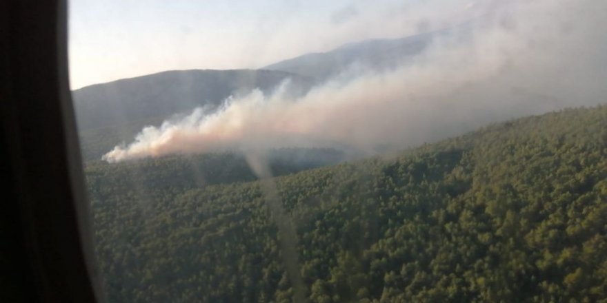 İzmir’de orman yangını