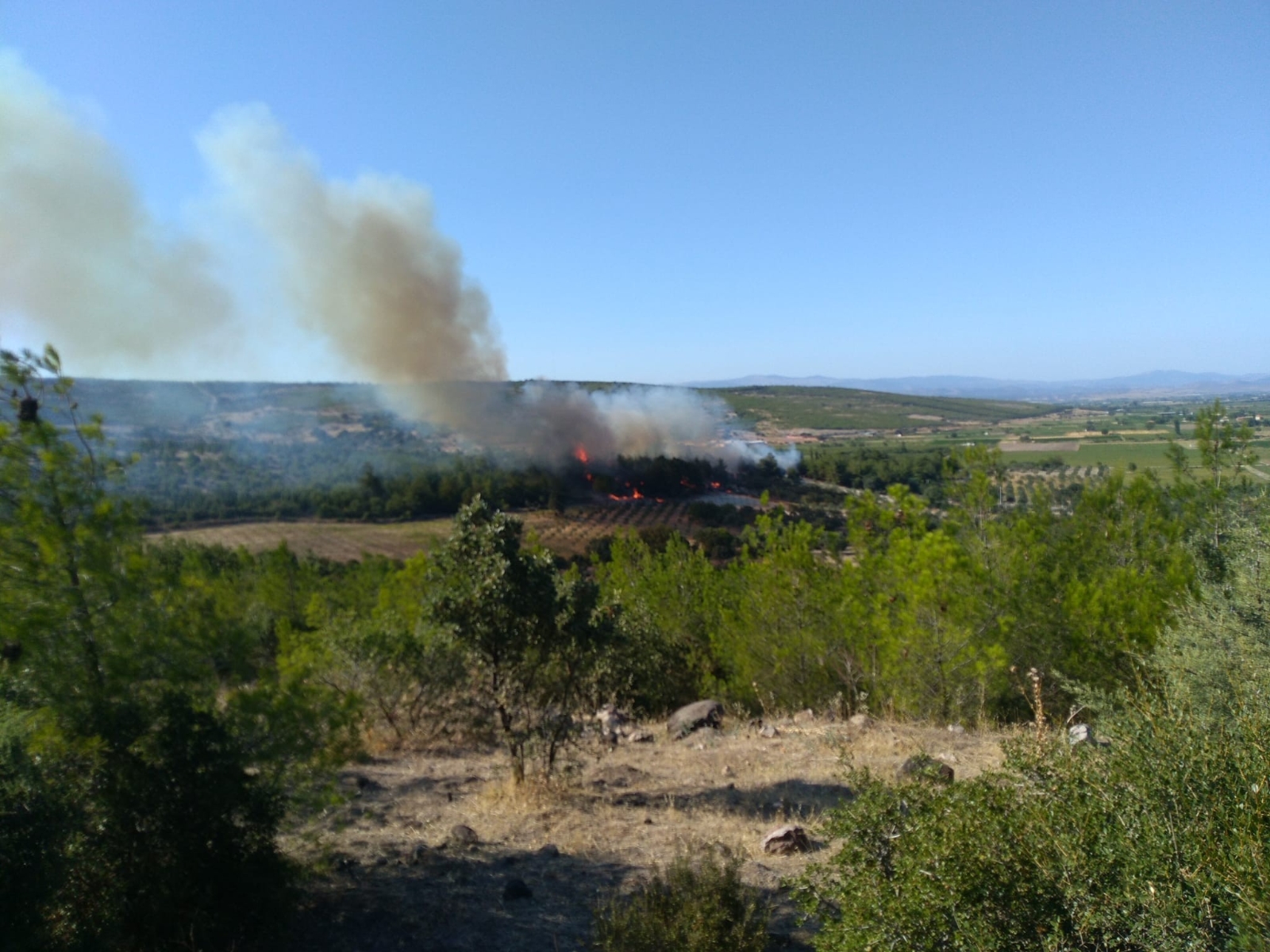 İzmir’de 1 Günde 3’üncü Yangın