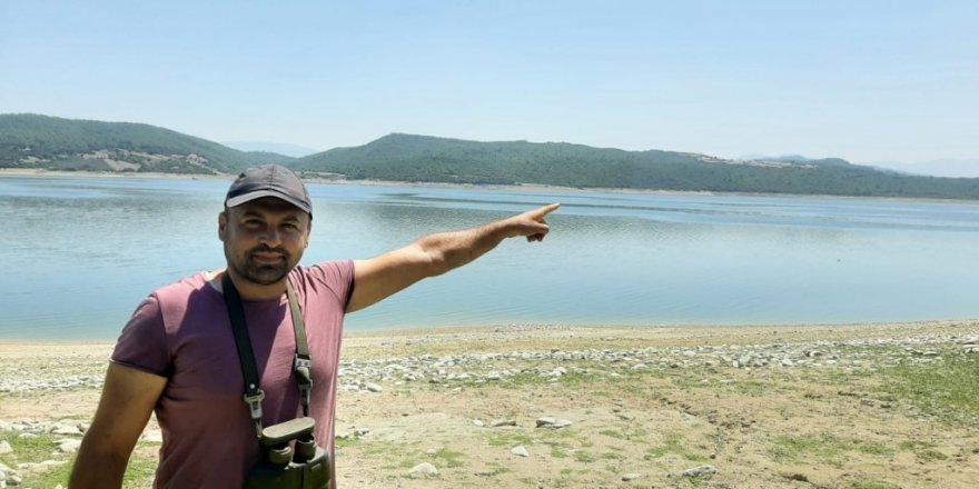 Düşen Uçağın Karabatak Kuş Sürüsüne Çarptığı İddia Edildi