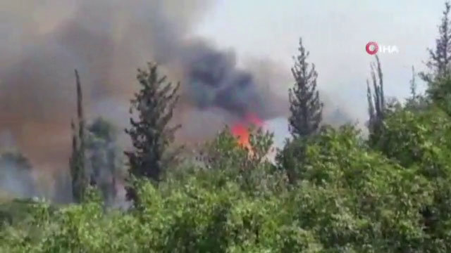 Kudüs’teki orman yangını devam ediyor