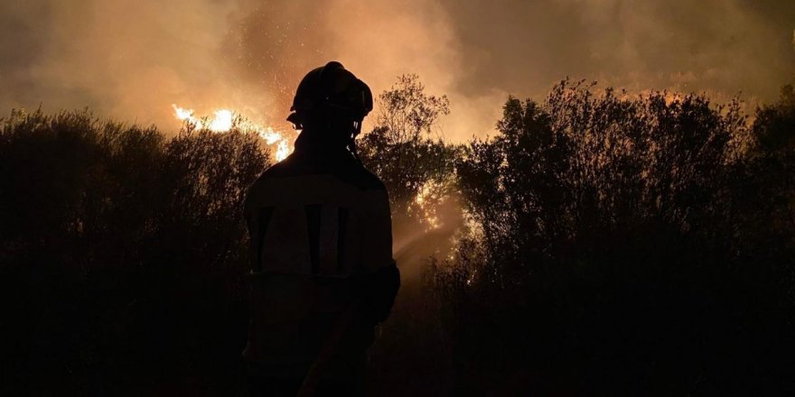 İspanya'da 12 bin hektarlık ormanlık alan küle döndü