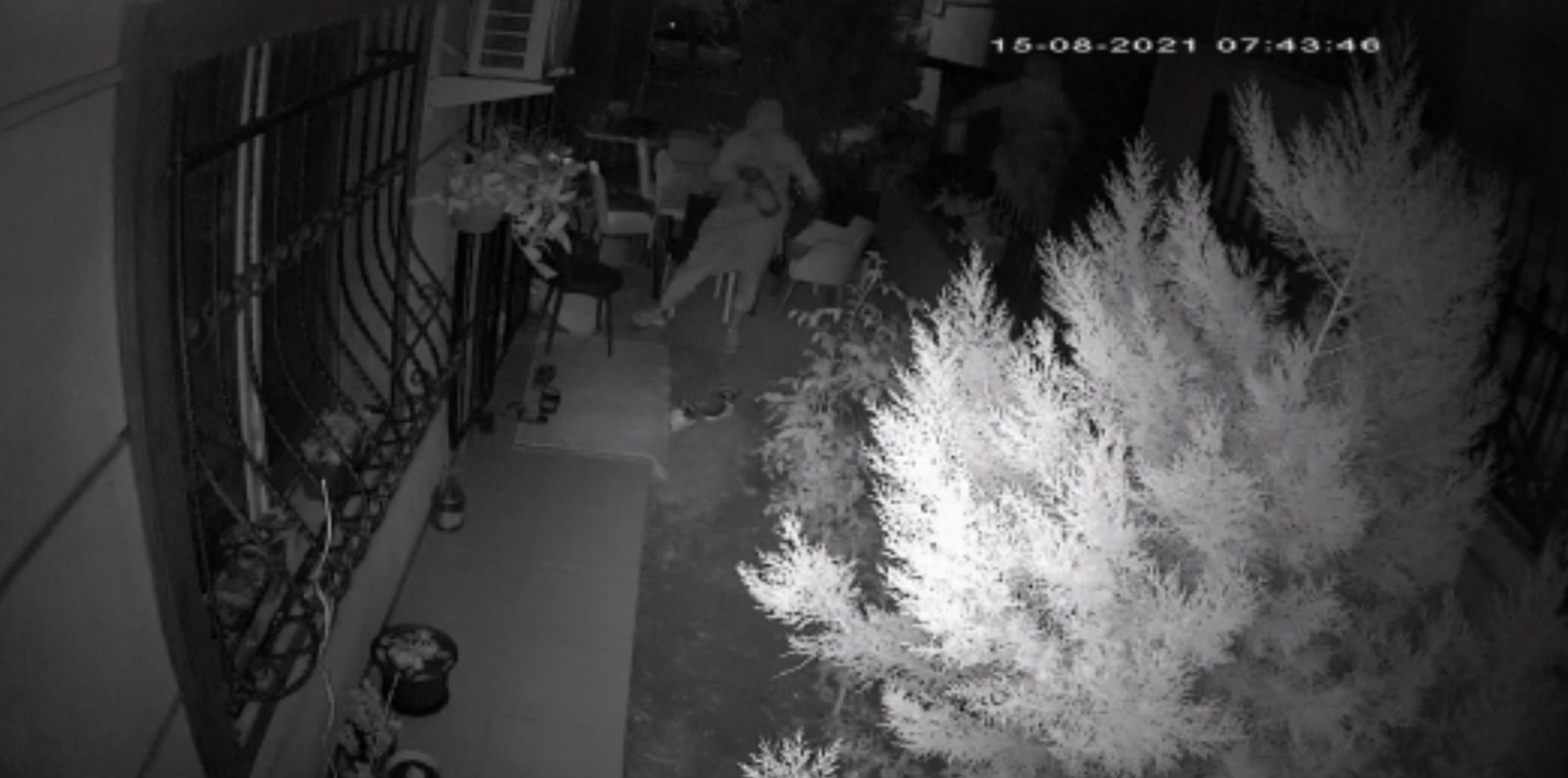 Bir Şey Bulamayınca Turşu Çaldılar