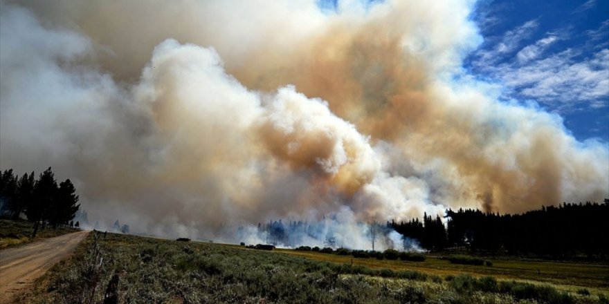 Abd’nin California Eyaletinde Orman Yangınları Devam Ediyor