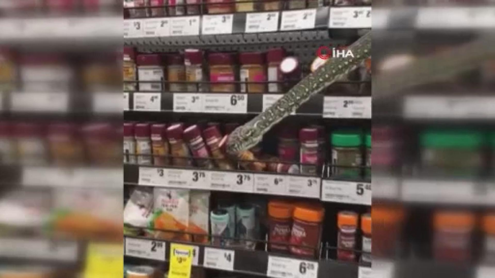 Avustralya’da Süpermarket Rafından Çıkan Piton Korkuttu