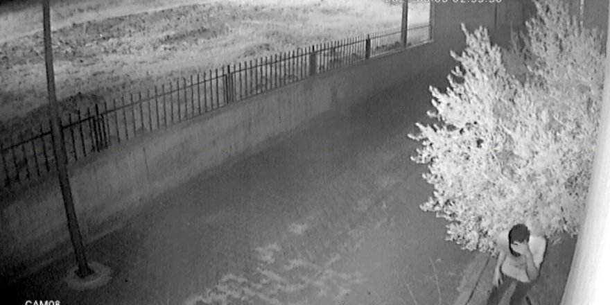 Hırsız Güvenlik Kamerasını Görünce Güldürdü