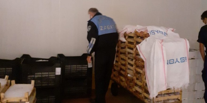 Yasak Avlanan Yarım Ton Balığına El Konuldu