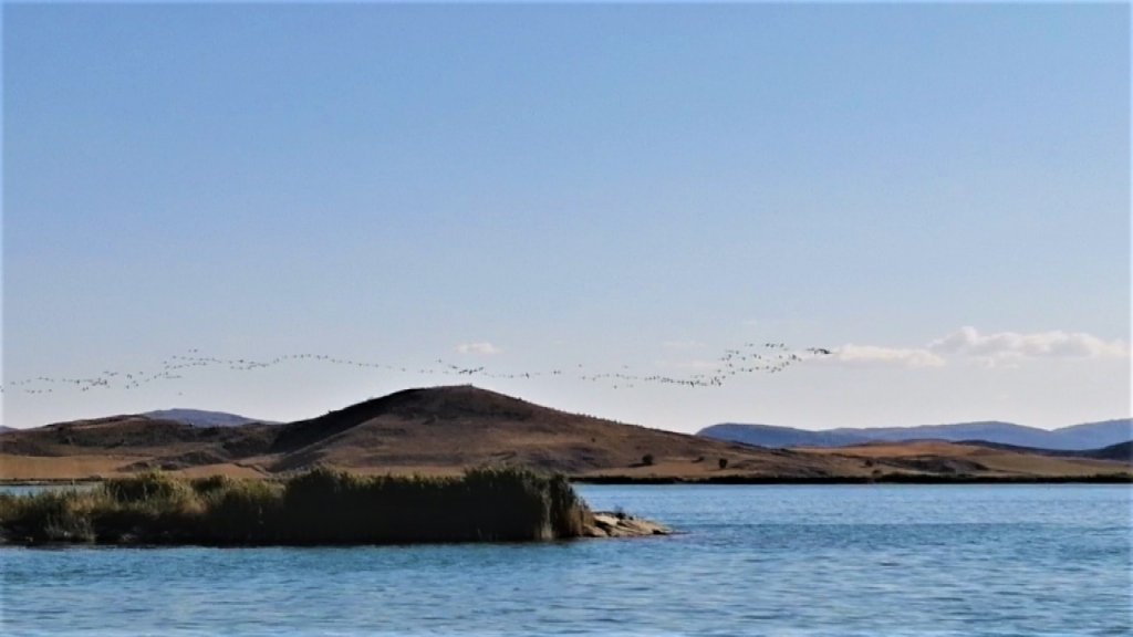 Kazların Göçü Böyle Görüntülendi