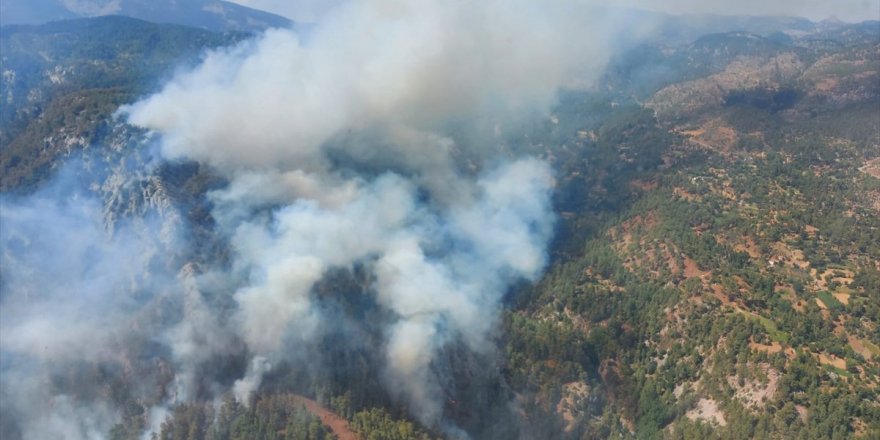 Köyceğiz'deki orman yangını kontrol altına alındı
