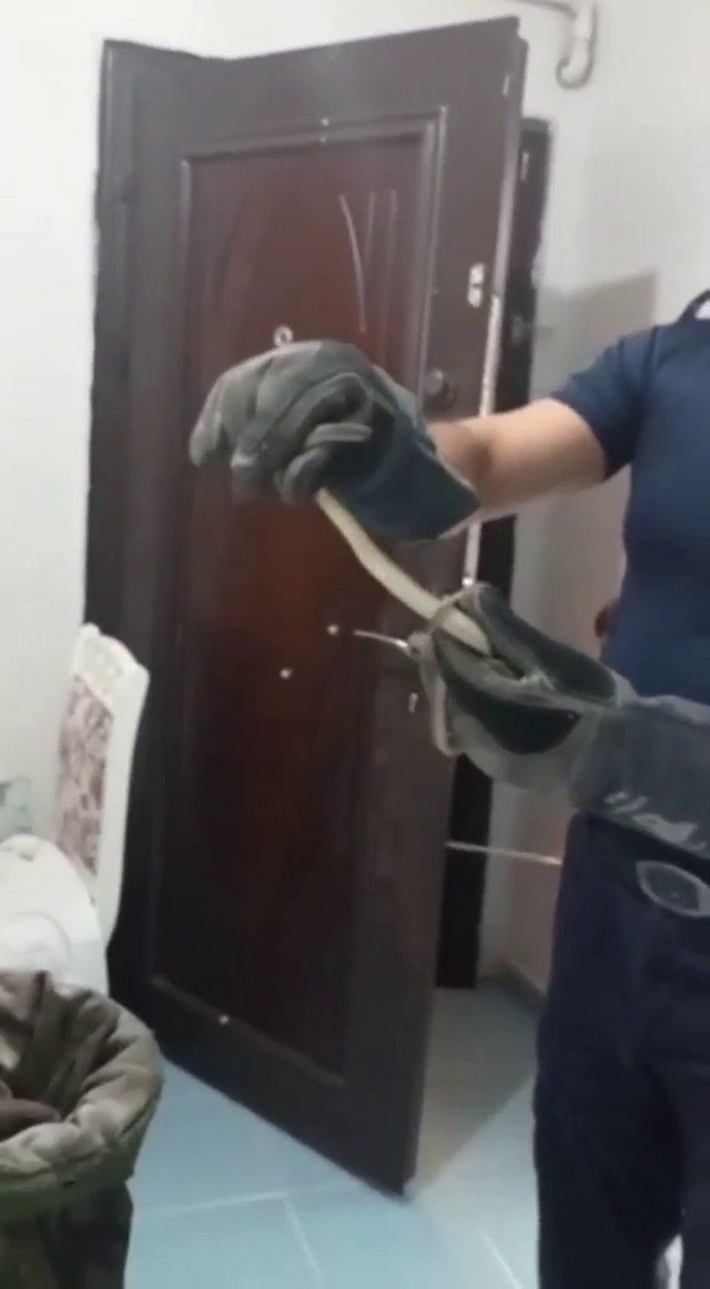 Avcılar’da Evde Yılan Paniği
