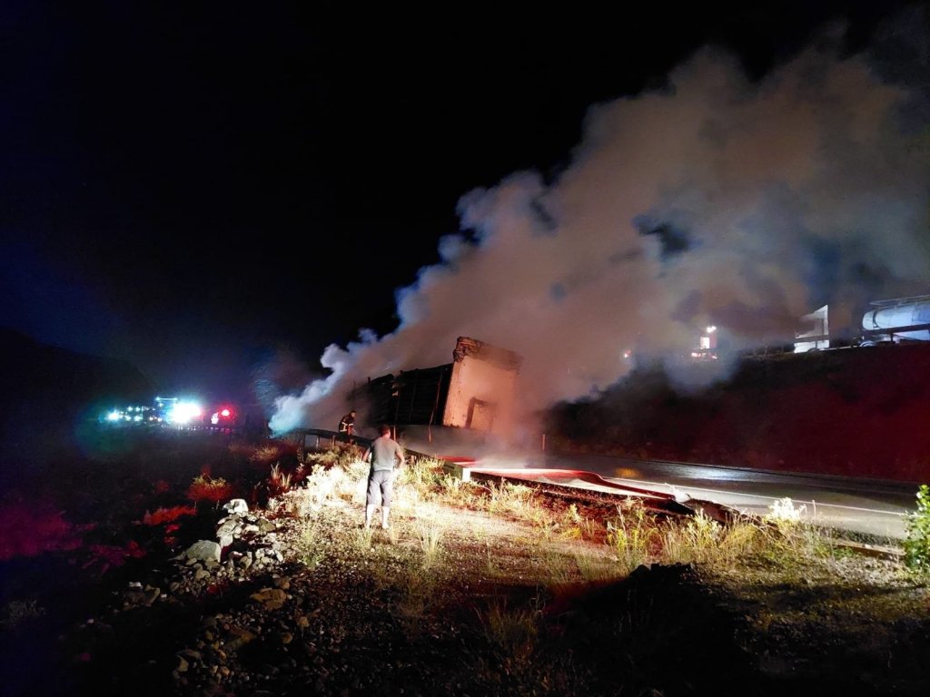 Erzincan’da Tomruk Yüklü Tır Alev Alev Yandı