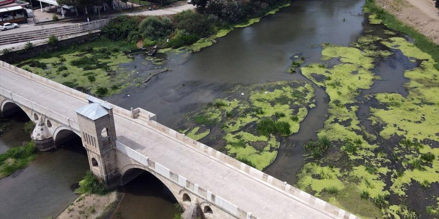 Kuraklık Nedeniyle Düşen Debi 'Su Mercimeği Kolonileri'ne Yol Açtı