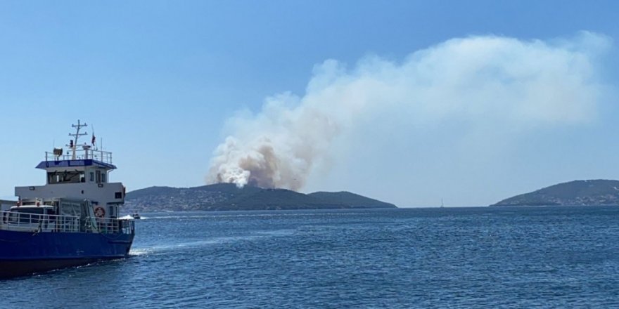 Heybeliada’da orman yangını