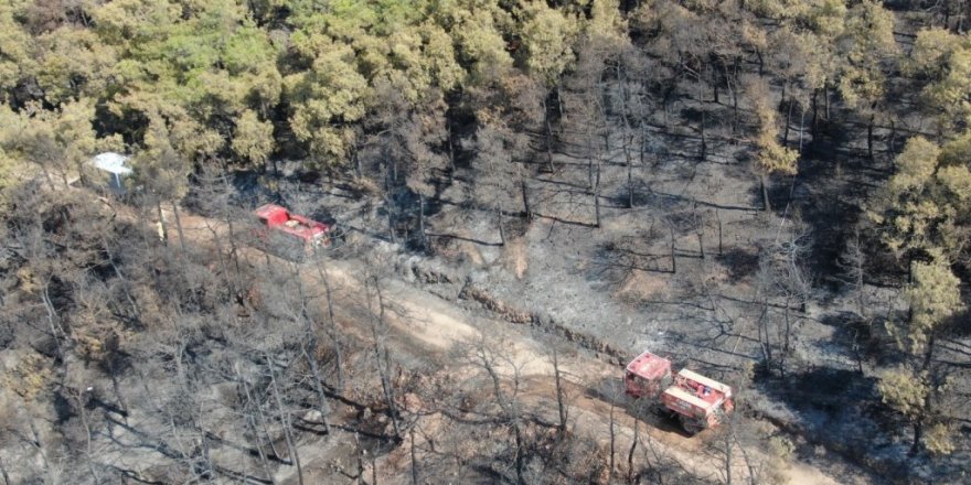 Heybeliada’da soğutma çalışmaları havadan görüntülendi