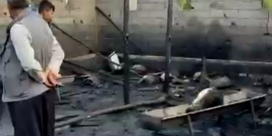 Ahır yangınında 25 hayvan telef oldu