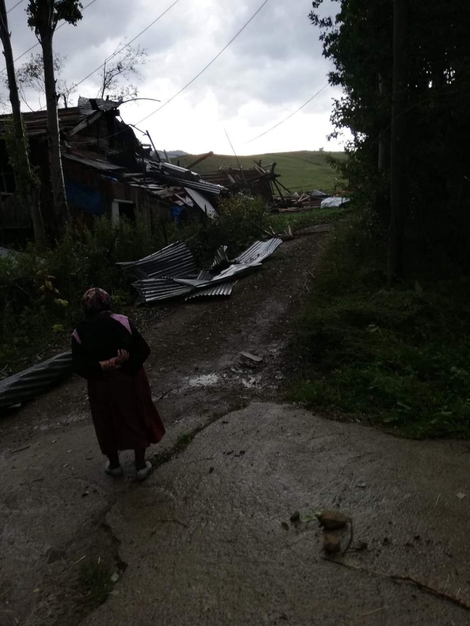 Artvin’de Hortum Evlerin Ve Ahırların Çatısını Uçurdu