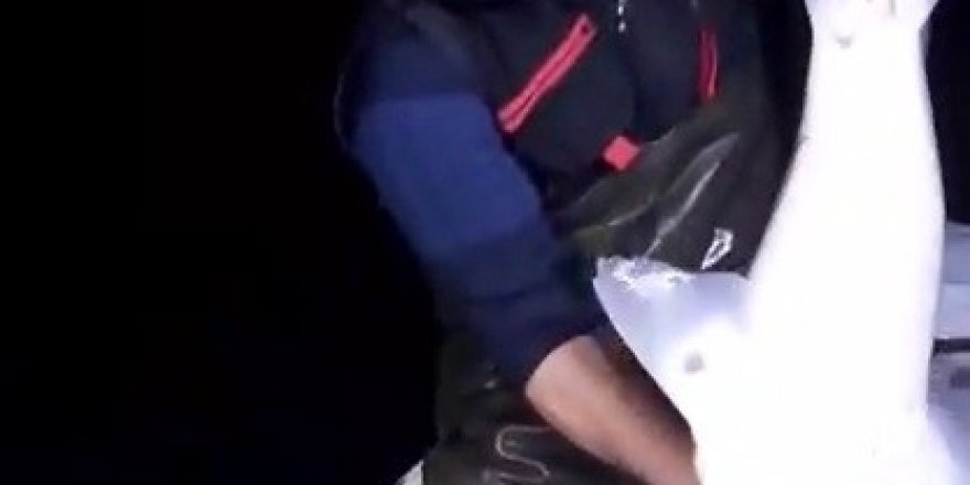 Trabzonlu Balıkçının Köpekbalığıyla Olan Konuşması Güldürdü