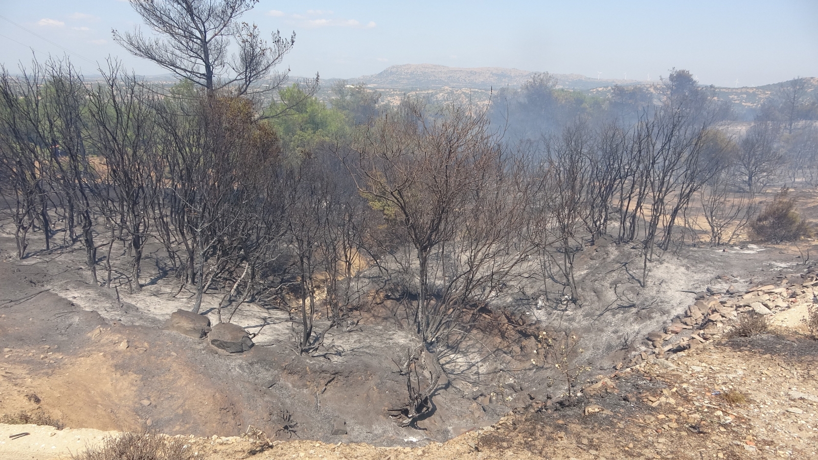Tavaklı’da 1 Ayda 9’uncu Kez Orman Yangını Çıktı