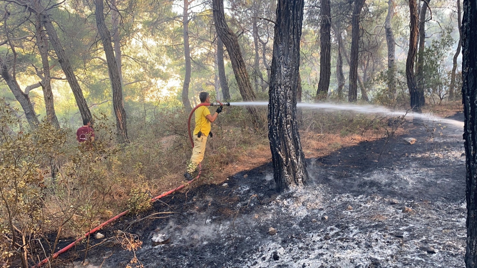 Seydikemer’deki yangın kontrol altına alındı
