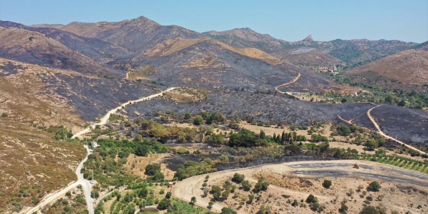Yangın ve sel bölgeleri için acele kamulaştırma kararı alındı