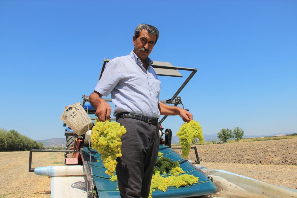 Üzümcünün Kulağı Bakandan Gelecek Müjdeli Haberde