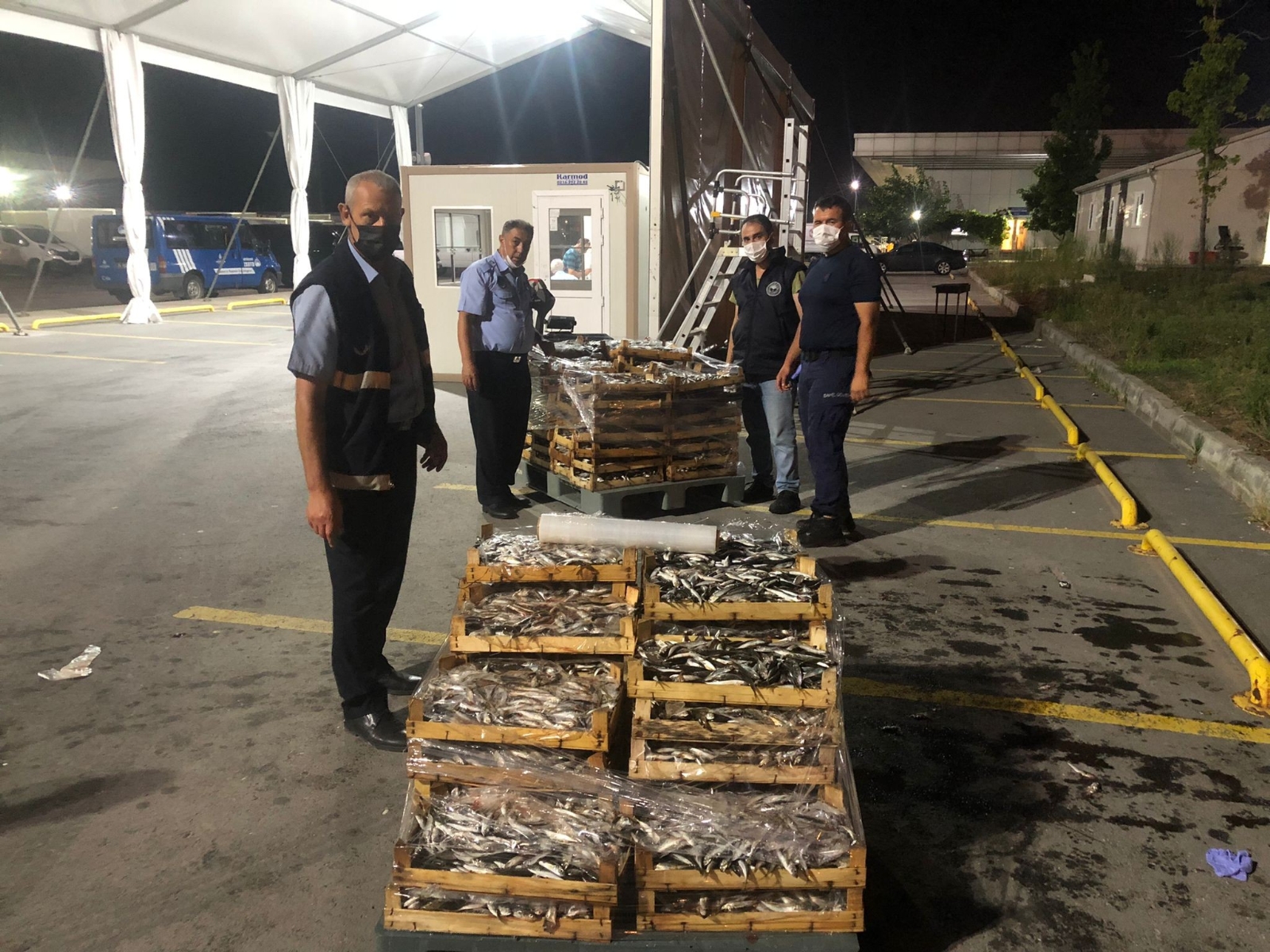 Boy Yasağına Aykırı Avlanılan 1.5 Ton İstavrit Balığına El Konuldu