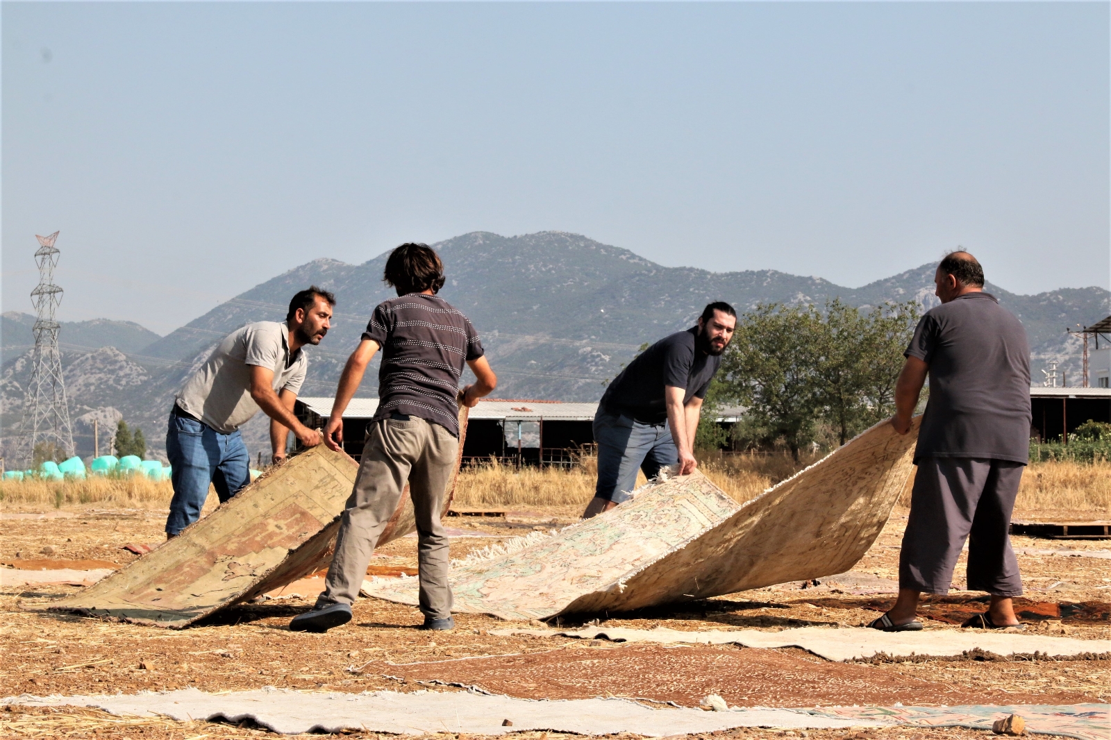 Antalya’da ‘Halı Mevsimi’ Sona Erdi Hasat Başladı