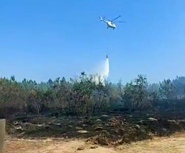 Edirne’de Orman Yangını Kontrol Altına Alındı