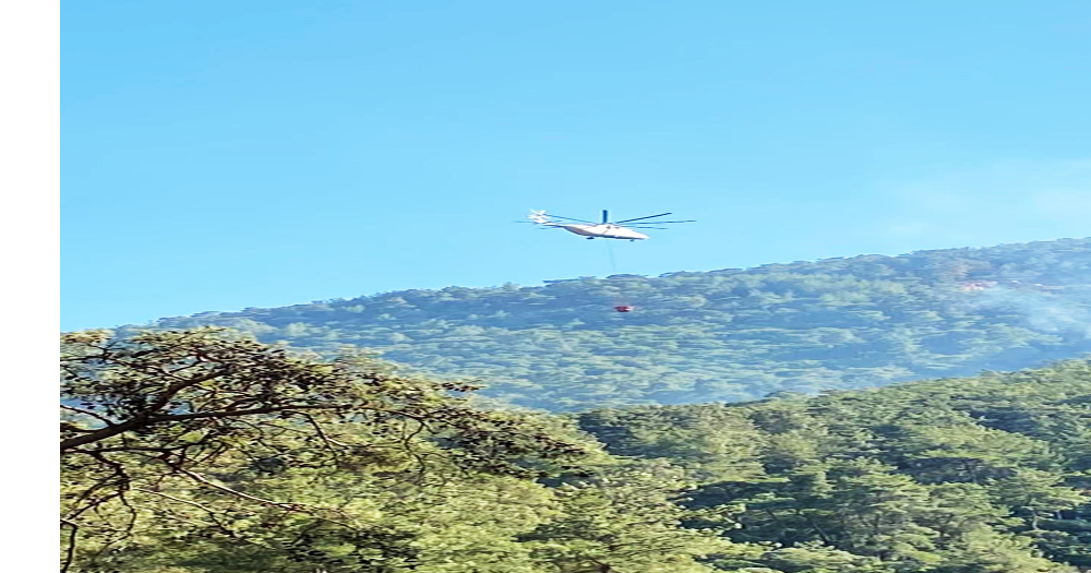 Milas Orman Yangını Kontrol Altında