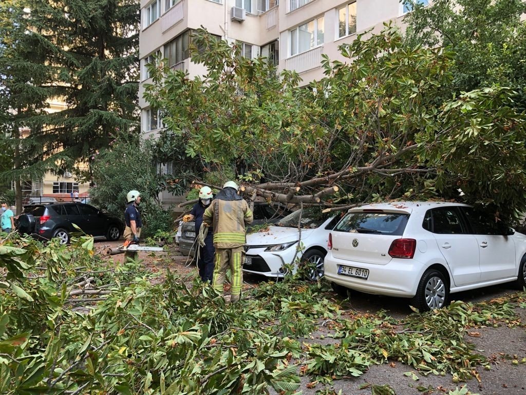Kadıköy’de Kestane Ağacı Park Halindeki 4 Aracın Üzerine Devrildi