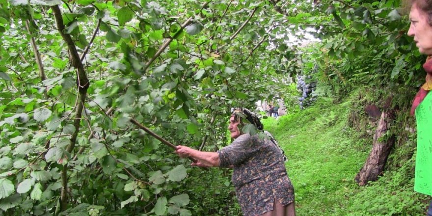 Şiddetli yağmurda istinat duvarı böyle çöktü