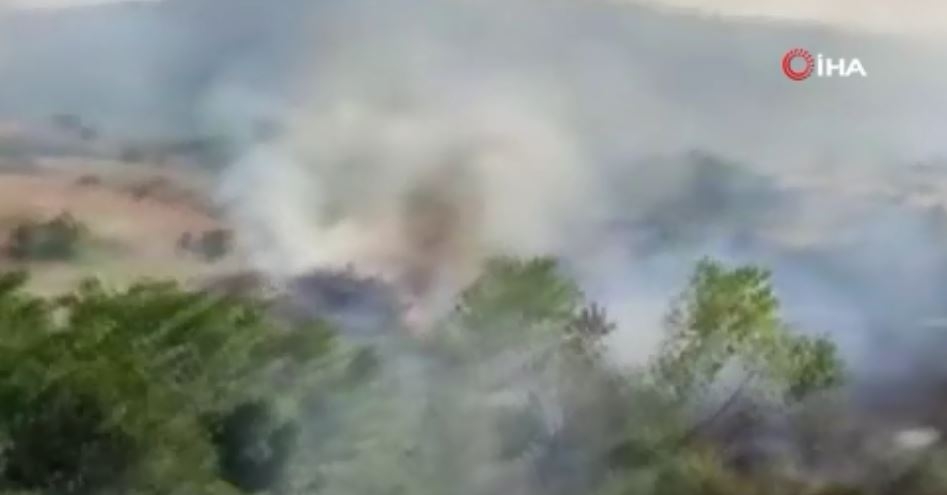 Ayçiçeği Tarlasındaki Yangın Ormanlık Alana Sıçradı