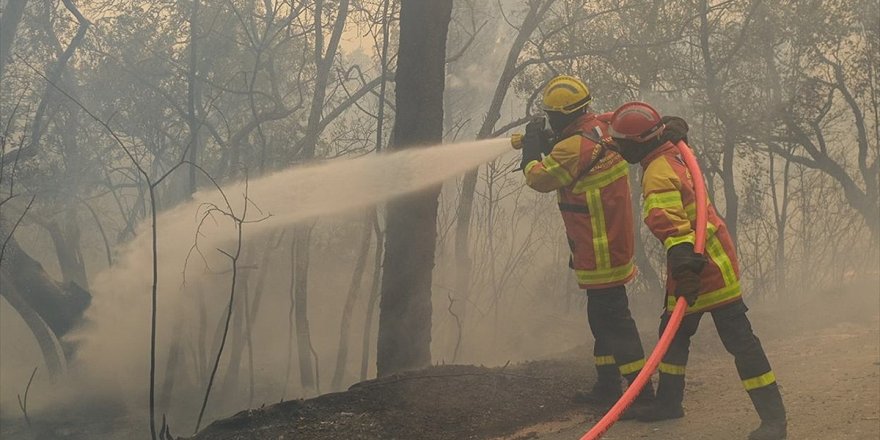 Orman Genel Müdürlüğü: “Bugün çıkan 7 orman yangınının tamamını kontrol altına aldık”