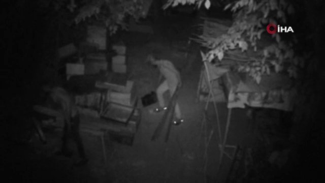 Arnavutköy’de Hırsızların Dadandığı Arıcı Ağaçlara Foto Kapan Yerleştirdi