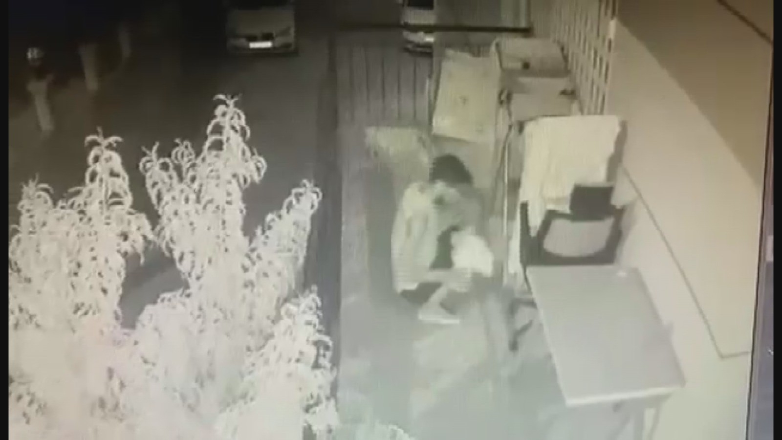 Çamaşır Telinde Asılı Olan Tişörtleri Tek Tek İnceleyip Böyle Çaldı