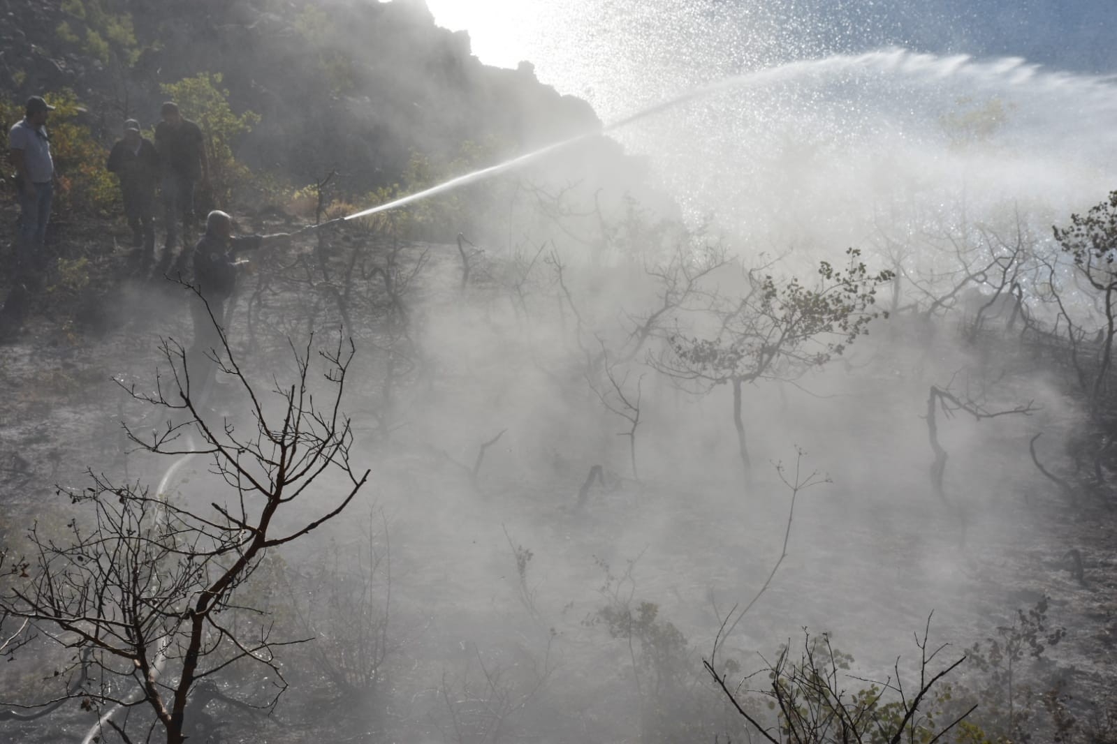 Nemrut Kalderası’nda Çıkan Yangın Kontrol Altına Alındı