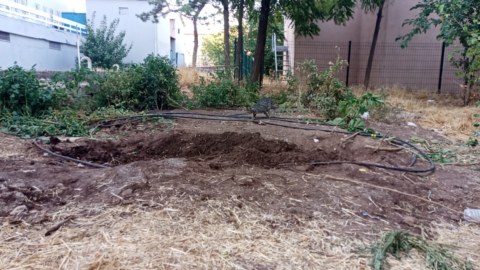 Genç Kadını Elektrik Çarptı, Yakınları Hastanede Tedaviyi Reddedip Toprağa Gömdü