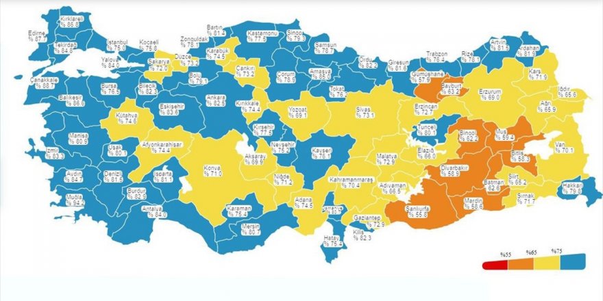 İstanbul Kovid-19 Aşı Haritasında Mavi Renge Döndü