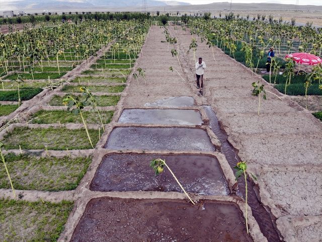 1 milyon lirayı toprağa 'gömdüler!'